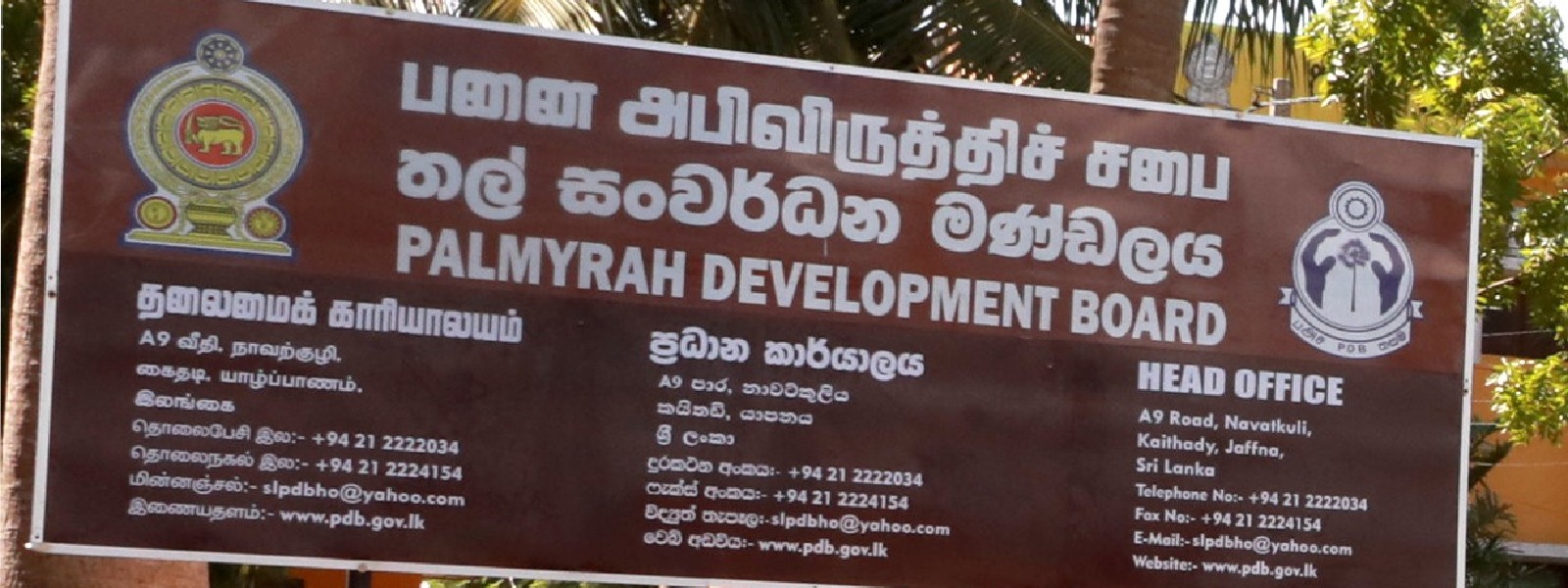 பனை அபிவிருத்தி சபையில் நிதி மோசடி